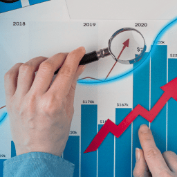 Rentabilidad y costos